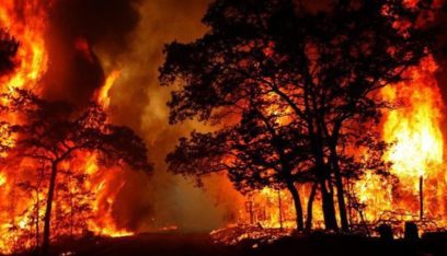 حرائق الغابات تصل إلى “مستوى الطوارئ” في أستراليا