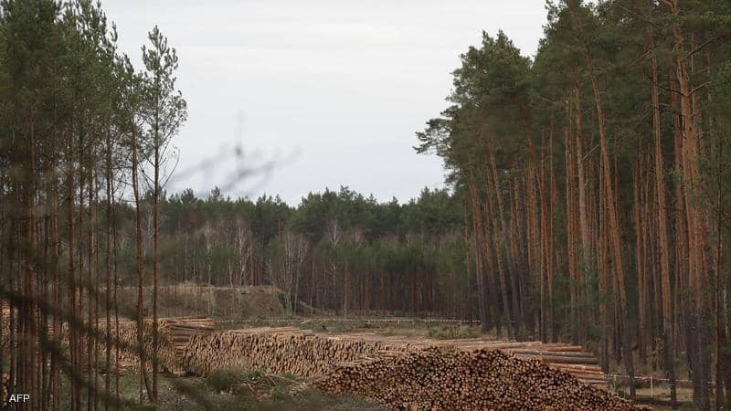 زعماء العالم يتعهدون بإنهاء إزالة الغابات بحلول 2030