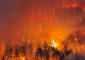 بالفيديو: حريق غابات ضخم نشب على أحد تلال ⁧‫كاليفورنيا‬⁩