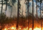 الحرارة الشديدة ودخان حرائق الغابات “كارثة كبرى”