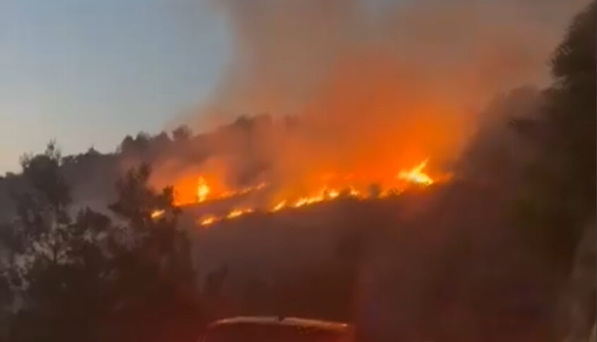 بالفيديو: حريق في غابة بيريا عقب القصف الصاروخي الأخير من ⁧‫لبنان‬⁩