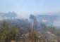 إهماد النيران التي اندلعت في احراج عيتات والحؤول دون امتدادها الى المنازل المجاورة(بالصور)